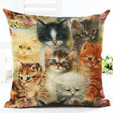 Fashion Cute Book Cat Party Cushion Cover Throw Pillowcase Home Decorative Sofa Linen  Square Printing Cojines Cushion  Case